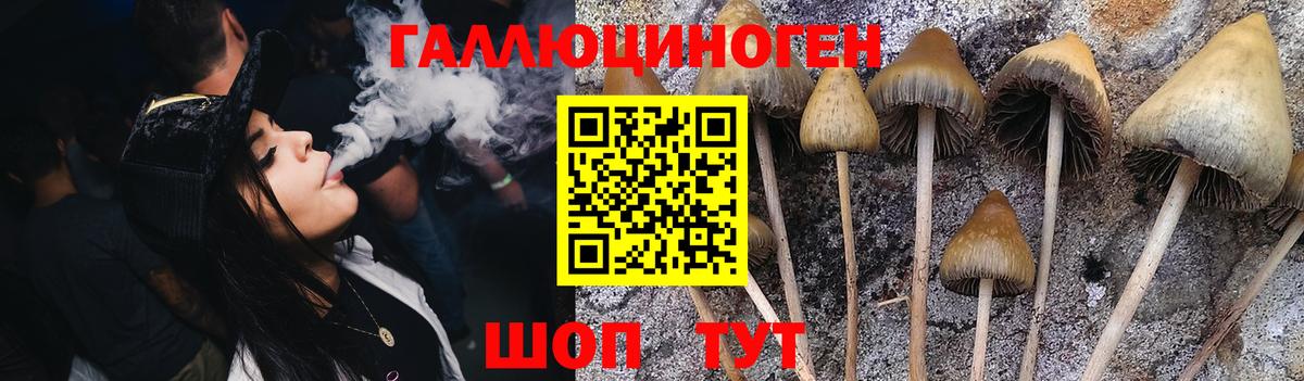Асбест  Галлюциногенные грибы MAGIC MUSHROOMS  Вход с VPN 