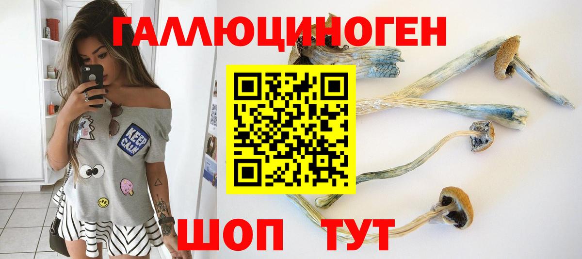 Псилоцибиновые грибы Psilocybine cubensis Асбест